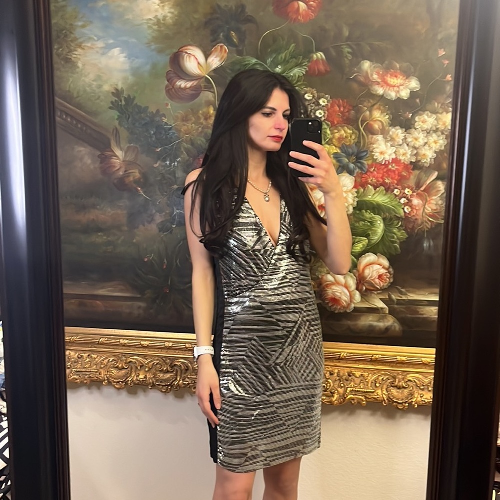 NWT $495 Ramy Brook Lola Dress - Picture 2 of 9
